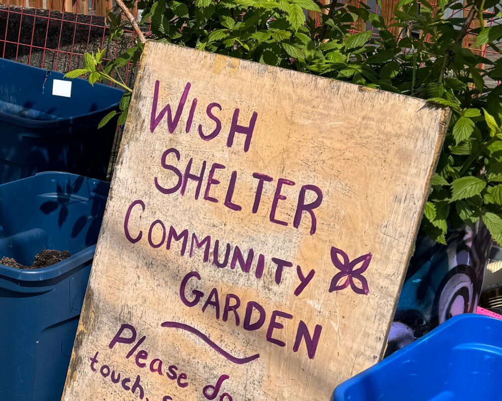 The Shelter Garden